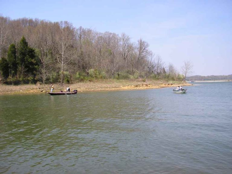 patoka lake fishing Patoka Lake State Park