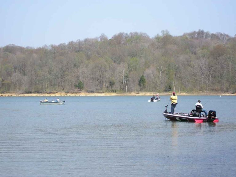 patoka lake fishing Patoka Lake State Park