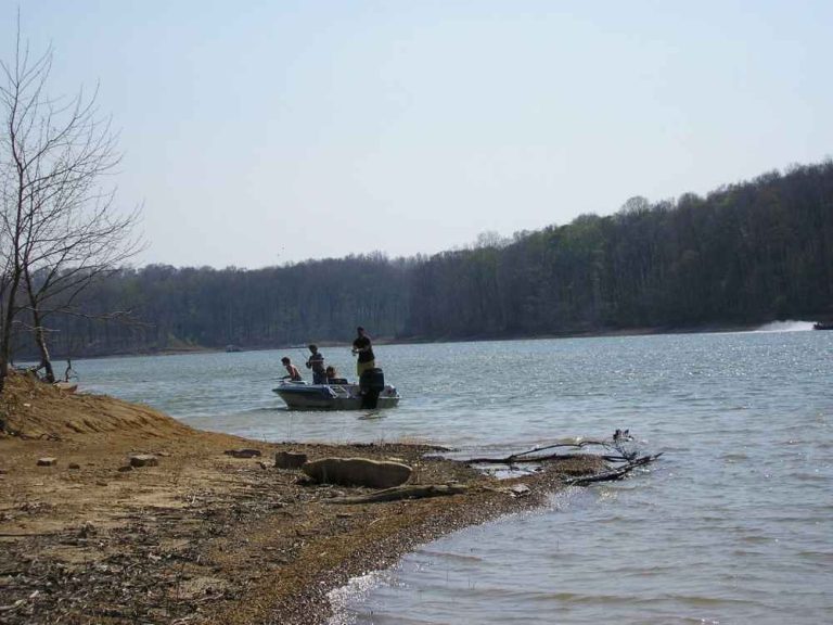 patoka lake fishing Patoka Lake State Park